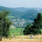 Holiday home Schwedenhaus Waldkauz Willingen (Upland)