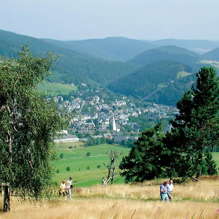 Holiday home Schwedenhaus Waldkauz Willingen (Upland)