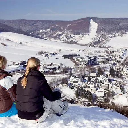 Schwedenhaus Waldkauz Willingen (Upland)