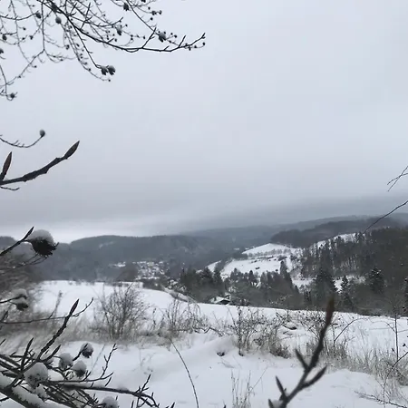 Holiday home Schwedenhaus Waldkauz Willingen (Upland)