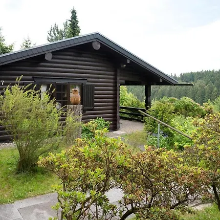 Schwedenhaus Waldkauz Willingen (Upland)