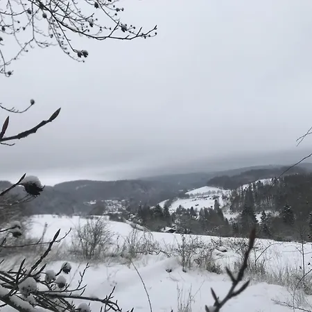 Schwedenhaus Waldkauz Feriehus *