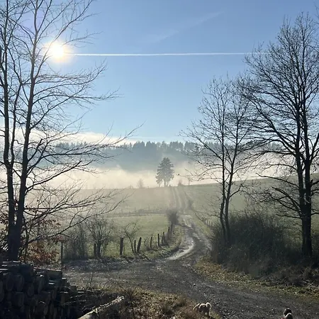 Schwedenhaus Waldkauz Dom wakacyjny Willingen (Upland)