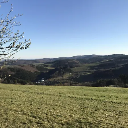 Schwedenhaus Waldkauz * Willingen (Upland)