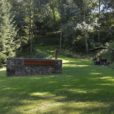 Schwedenhaus Waldkauz Willingen (Upland)