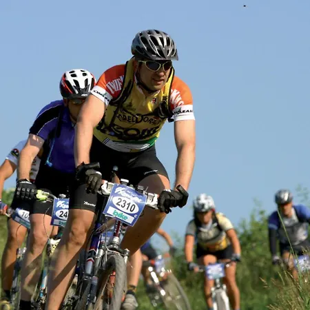 Dom wakacyjny Schwedenhaus Waldkauz Willingen (Upland)