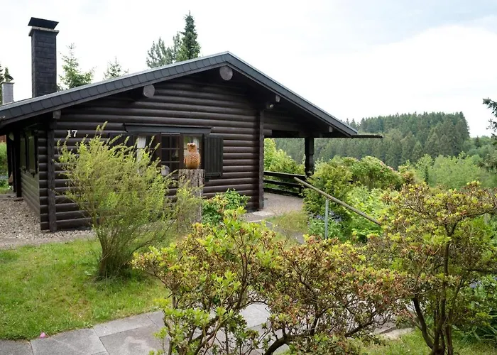 Schwedenhaus Waldkauz Willingen (Upland)