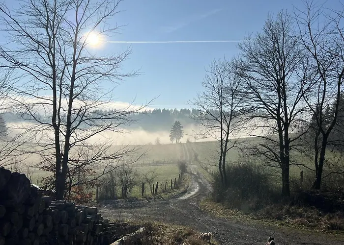 Schwedenhaus Waldkauz Σπίτι διακοπών Willingen (Upland)