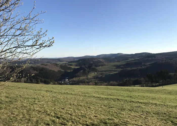 Schwedenhaus Waldkauz * Willingen (Upland)