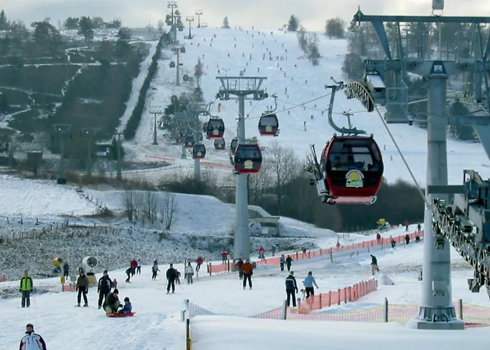 Schwedenhaus Waldkauz Willingen (Upland)